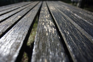 Rustik tablodan eski yönetim kurulu