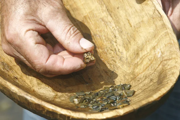 木製のボウルにナゲットを保持している金鉱掘り川 ストック画像