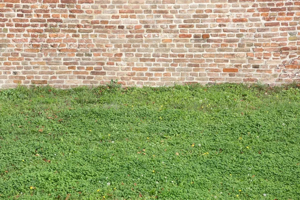 Gran Muralla de ladrillos viejos y campo de hierba —  Fotos de Stock
