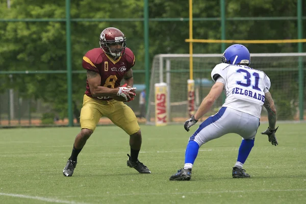 Partita di football americano tra lupi e drago blu — Foto Stock