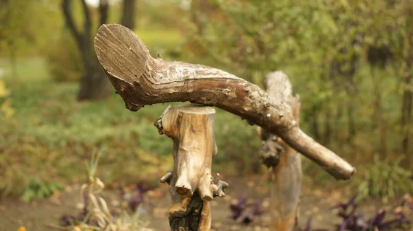 Antiguas Artesanías Rústicas Madera Pajarera Valla Marrón Claro —  Fotos de Stock