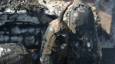 Mavi alevler içinde patlıcan. Tebrikler ve bahçıvanlık hikayeleri için harika bir geçmiş.