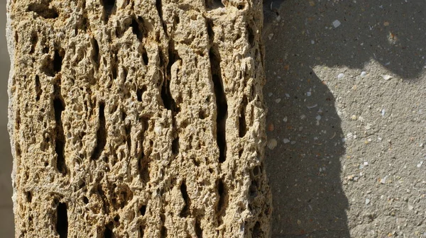 黄色のシェル岩のレンガの壁 貝殻の質感を閉じます — ストック写真