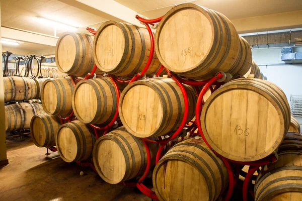 Wine Barrels Cellar Bulgaria — Stock Photo, Image