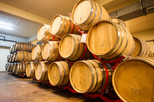 Wine Barrels Cellar Bulgaria — Stock Photo, Image