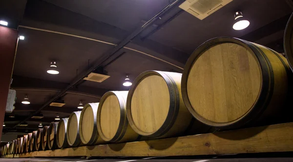 Wine Barrels Cellar Bulgaria — Stock Photo, Image