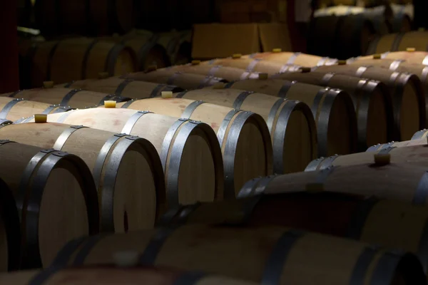 Wine Barrels Cellar Bulgaria — Stock Photo, Image