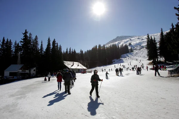 Bulgaria Vitosha Ski Tourism — Stock Photo, Image