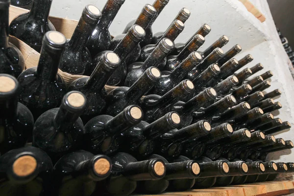 保加利亚葡萄酒生产 — 图库照片