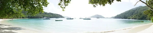 Uma baía iluminada pelo sol cheia de barcos nas Seychelles — Fotografia de Stock