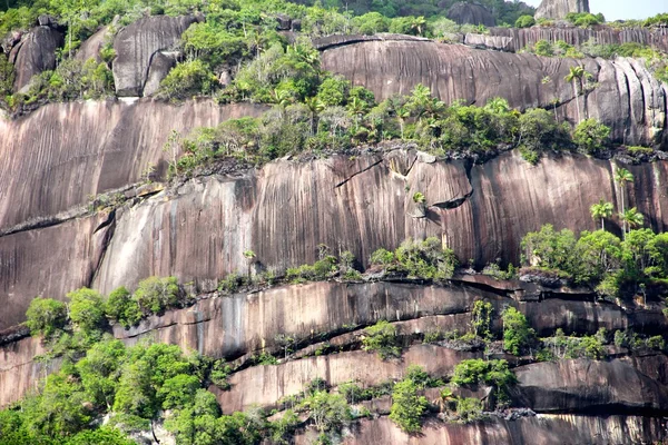 Vistas a la montaña en Seychelles —  Fotos de Stock