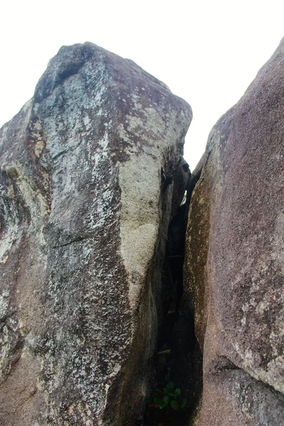 Paisaje rocoso en Seychelles con telarañas — Foto de Stock
