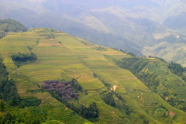 Rice terraced in Northern Vietnam — Stock Photo, Image