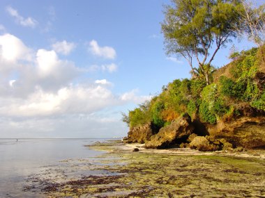 Kia beach roket deniz