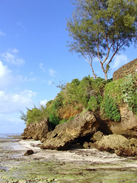 Raket på stranden mombasa kenia blå himlen — Stockfoto