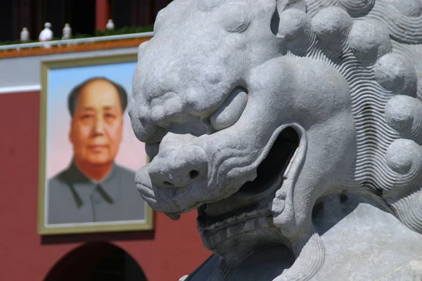 Detailed picture mao — Stock Photo, Image
