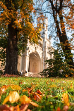 Peterhof 'daki tren istasyonu.