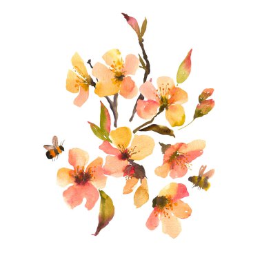 Suluboya bahar çiçekleri, çiçek açan ağaçlar. Beyaz arka planda izole edilmiş doğal botanik çiçekleri..