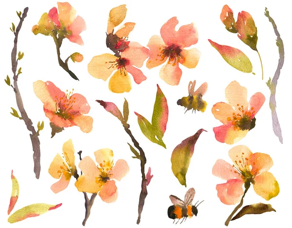 Set Acquerello Fiori Primaverili Rami Alberi Fiore Illustrazione Botanica Floreale — Foto Stock