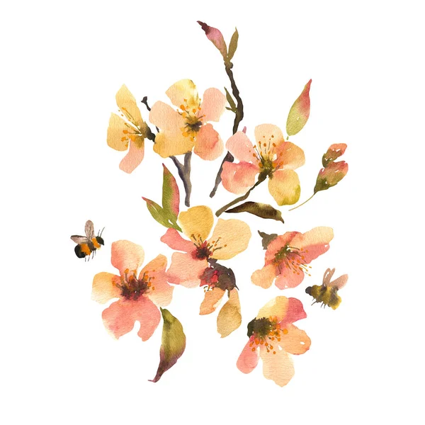 Aquarell Frühlingsblumen Strauß Blühende Bäume Äste Natürliche Botanische Blumenillustration Isoliert — Stockfoto