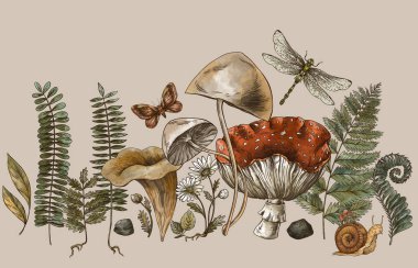 Woodland treasures, Amanita mushroom, fern, forest plants baner. Vintage botanical illustration. Witchcraft greeting card. clipart