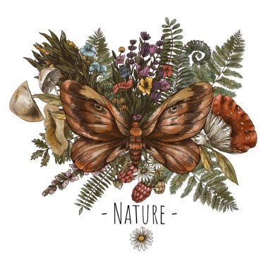 Moth with fern, mushrooms, amanita botanical greeting card. Woodland treasures, Witchcraft illustrations isolated on white background. clipart