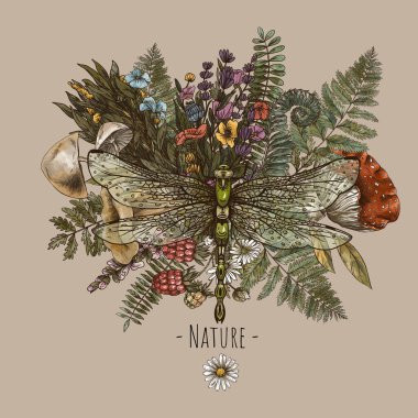 Eğreltiotlu yusufçuk, mantar, amanita botanik tebrik kartı. Orman hazineleri, beyaz arka planda izole edilmiş cadılık çizimleri..