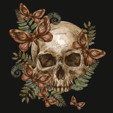 Mistik kafatası klasik tebrik kartı, güve ölümü, eğreltiotu illüstrasyonu. Cadılık el çizimi karakter siyah arka planda izole.