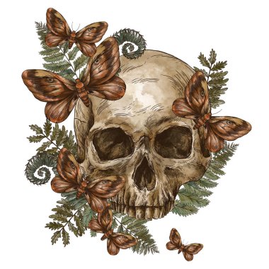 Mistik kafatası klasik tebrik kartı, güve ölümü, eğreltiotu illüstrasyonu. Beyaz arka planda izole edilmiş cadılık elle çizilmiş karakter.