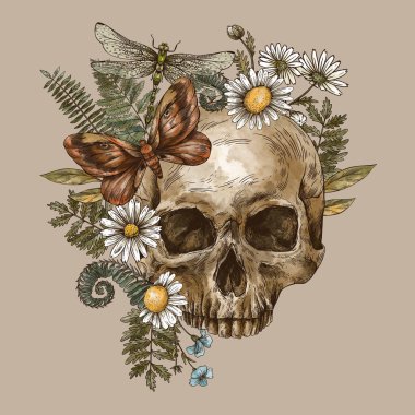 Güveli, papatyalı ve eğreltiotlu klasik çiçek kafatası. Esrarengiz kafatası gravürleri bej arka planda izole edilmiş.