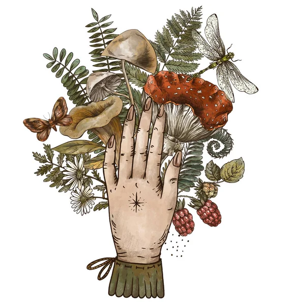 Δασικοί Θησαυροί Πράσινο Χέρι Μάγισσας Μανιτάρι Amanita Φτέρη Αγριόχορτα Δασικών — Φωτογραφία Αρχείου