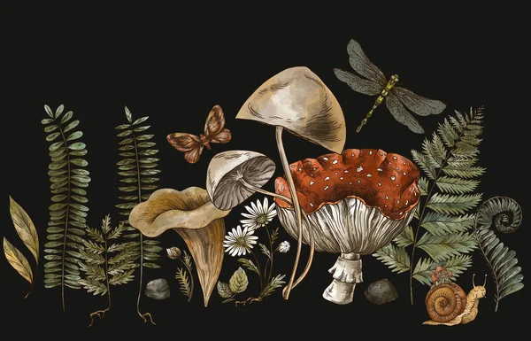 Waldschätze Amanita Pilz Farn Waldpflanzen Vintage Botanische Illustration Isoliert Auf — Stockfoto