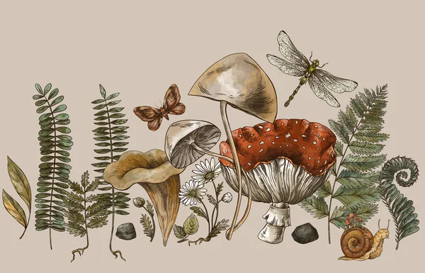 Woodland treasures, Amanita mushroom, fern, forest plants baner. Vintage botanical illustration. Witchcraft greeting card.