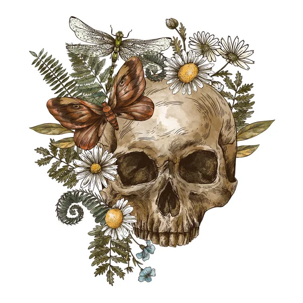 Crâne Floral Vintage Avec Papillon Nocturne Camomille Fougère Mystère Crâne — Photo