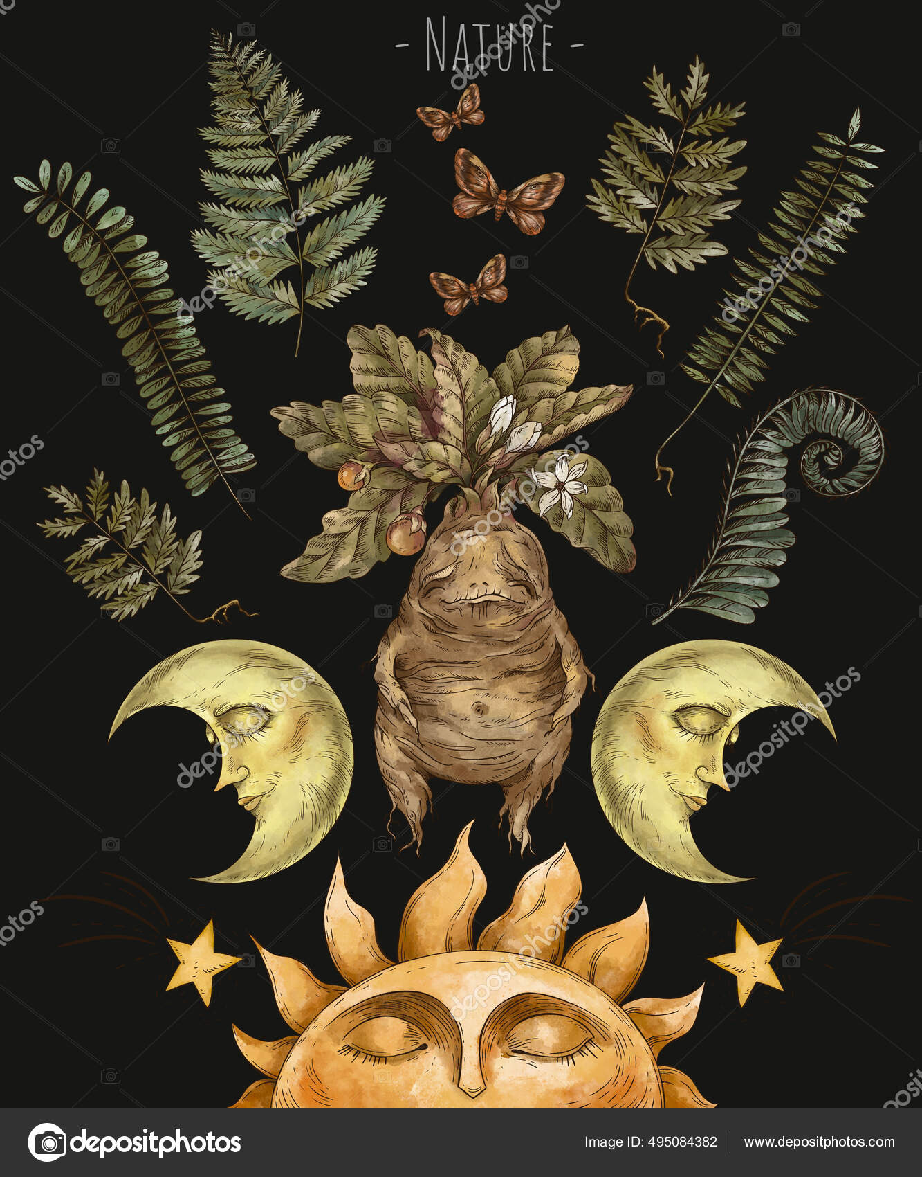 Magic Plants Witch's Herbs Mandrake Root Wicca Occult Greeting Card Stock  Illustration by ©belus #495084382