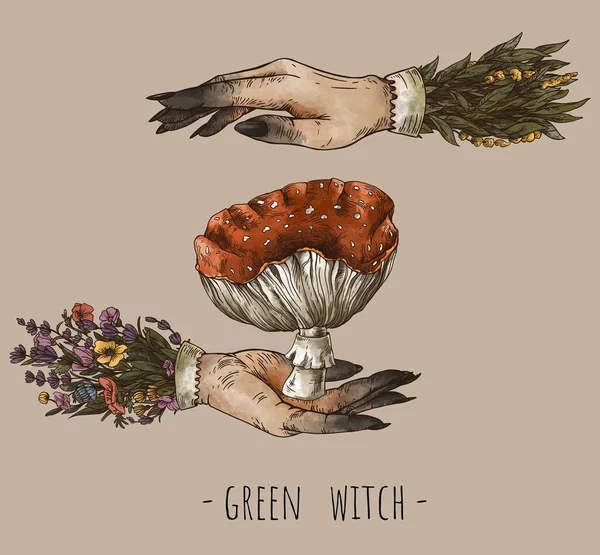 Vintage Magic Plants Amanita Mushroom Witch Hands Witchcraft Mystery Fly — 스톡 사진