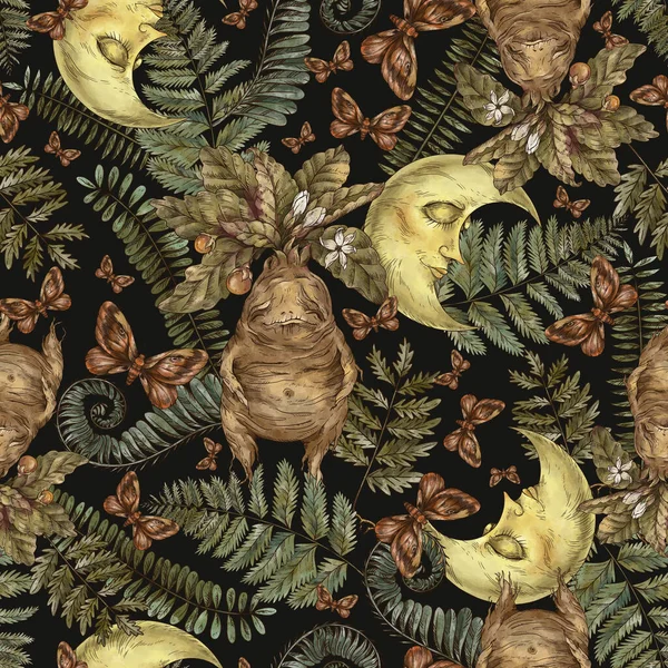 Μαγικά Φυτά Χωρίς Ραφή Μοτίβο Βότανα Μάγισσα Mandrake Ταπετσαρία Ρίζα — Φωτογραφία Αρχείου