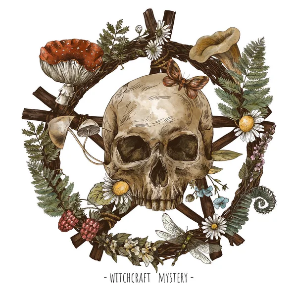 Vintage Branch Occult Pentagram Skull Witchcraft Botanical Illustration Woodland Treasures — 图库照片