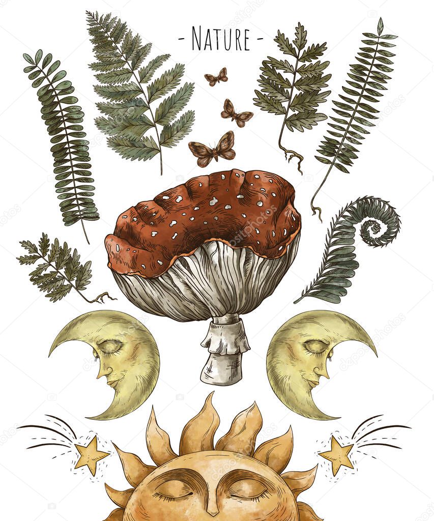 Vintage magic forest botanical illustration, witchcraft art, amanita mushroom, wicca occult background on white