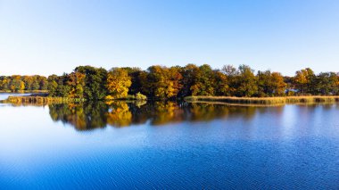 Nehirdeki Sonbahar Ormanı 'nın Renkli Ağaçları