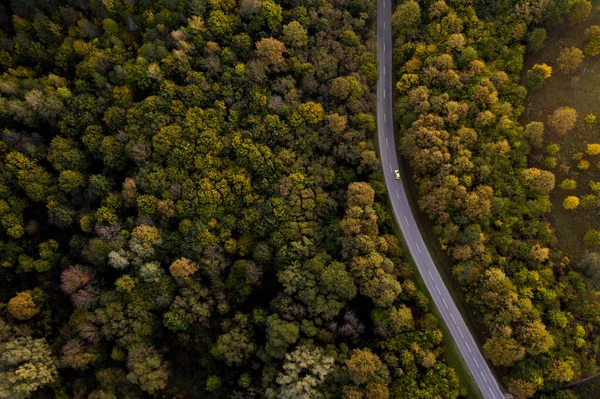 Veduta Aerea Della Strada Attraverso Foresta Autunnale Orfu Ungheria Drone — Foto Stock