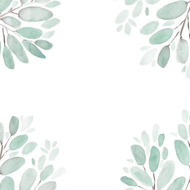 Yapraklar ve dallar suluboya resimleme arka planı. El boyası çiçek unsurları ayarlandı. Suluboya botanik illüstrasyon. Okaliptüs, zeytin, yeşil yapraklar.