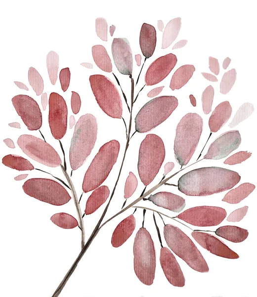 Φθινοπωρινά Φύλλα Και Κλαδιά Φόντο Απεικόνιση Ακουαρέλα Χειροποίητα Floral Στοιχεία — Φωτογραφία Αρχείου