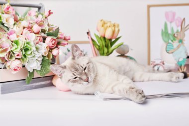 Yumurtalı ve çiçekli Paskalya kedisi. Masada oturan gri kedi yavrusu. Bahar tebrik kartı Mutlu Paskalyalar. Paskalya dekoru. Suluboya bahar resimleri. Tasarımcı ve sanatçı işyeri. Yaratıcı alan