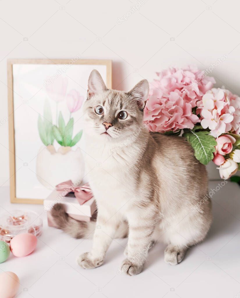 Easter cat with eggs and flowers. Gray kitten sitting on table. Spring greeting card Happy Easter. Easter decor. Watercolor spring paintings. Designer and artist's workplace. Creative space