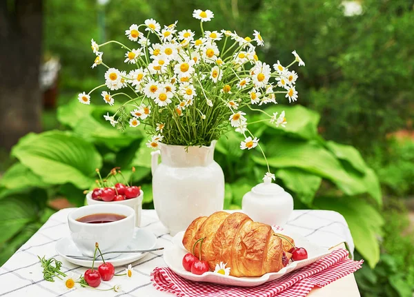 外で朝食 イチゴ チェリー クロワッサン カモミールの束 夏のピクニック おはようございます — ストック写真