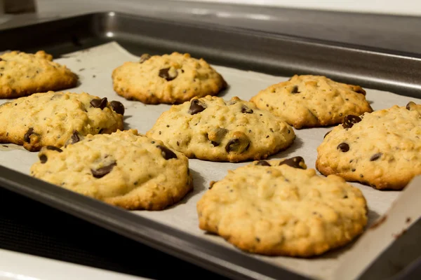 Warme chocolate chip cookie — Stockfoto