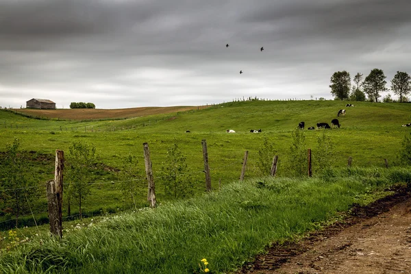 Paisaje país nublado — Foto de Stock