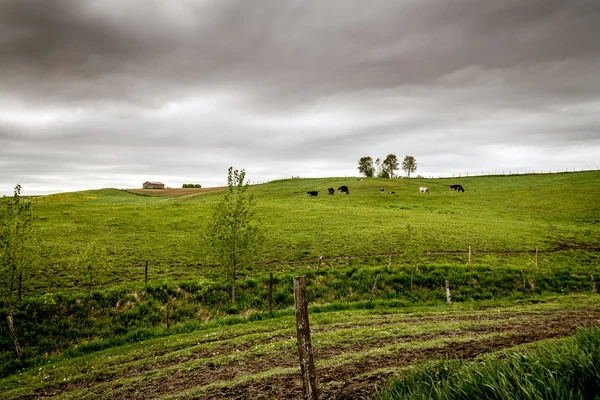 inek mera bulutlu peyzaj