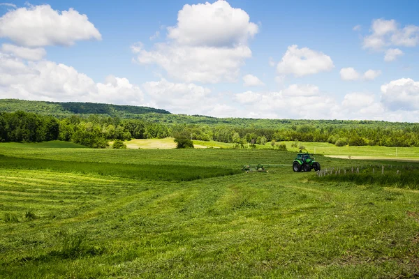 Champ de foin de coupe tracteur — Photo